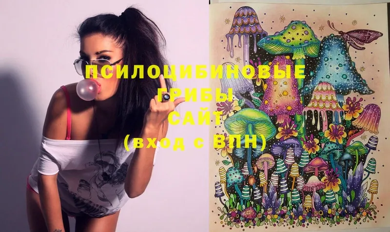 Псилоцибиновые грибы Magic Shrooms  Воркута 